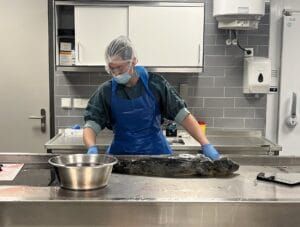 Een necropsie in het WEC