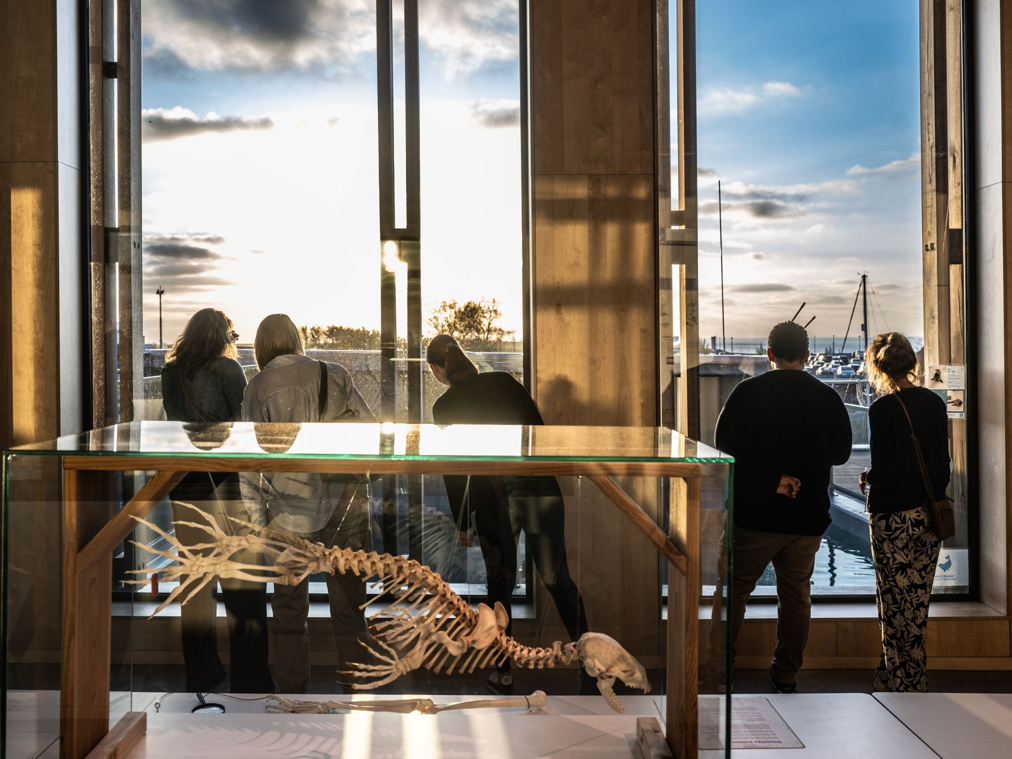 Overzicht baden buiten terrein Zeehondencentrum. Onze openingstijden zijn vanaf 10 uur. 