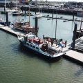 Boot Wadstruner in haven Lauwersoog