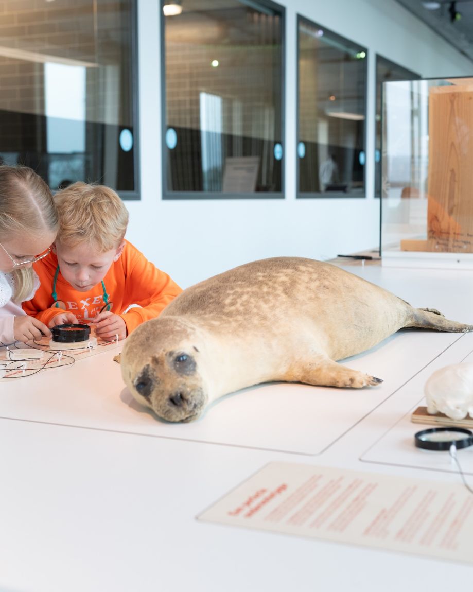 Twee kinderen kijken bij televisiescherm tijdens bezoek