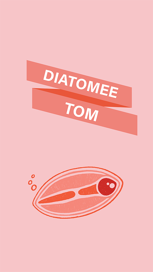 diatomee