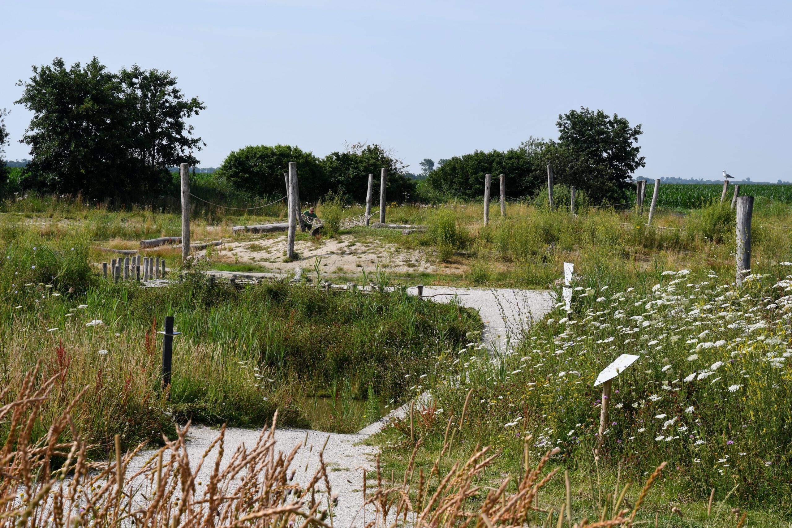 Waddenspeelplaats en Waddentuin