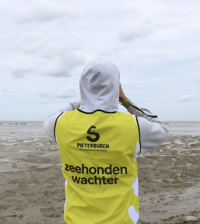 zeehondenwachter observeert