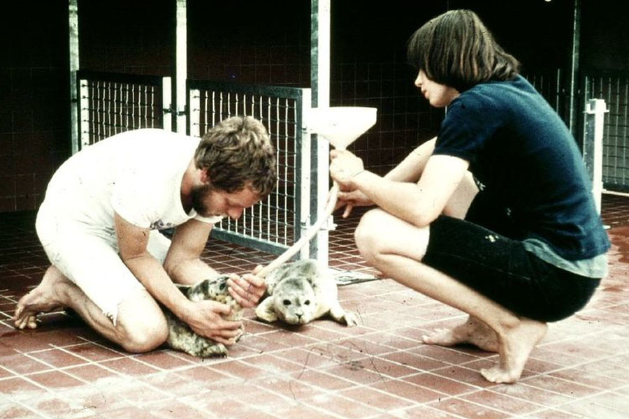 De zeehondenopvang in 1973