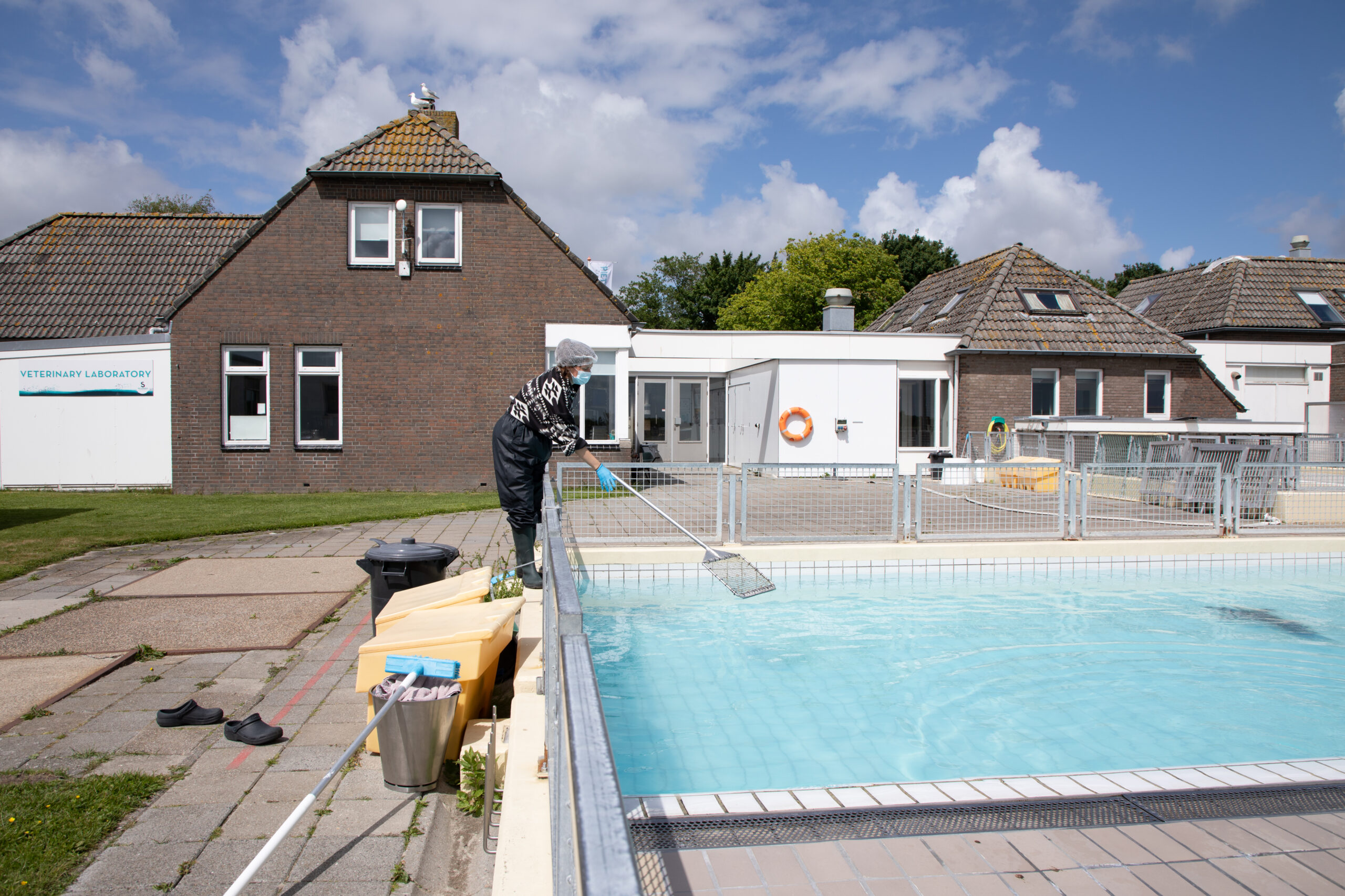 zeehonden bad schoonmaken