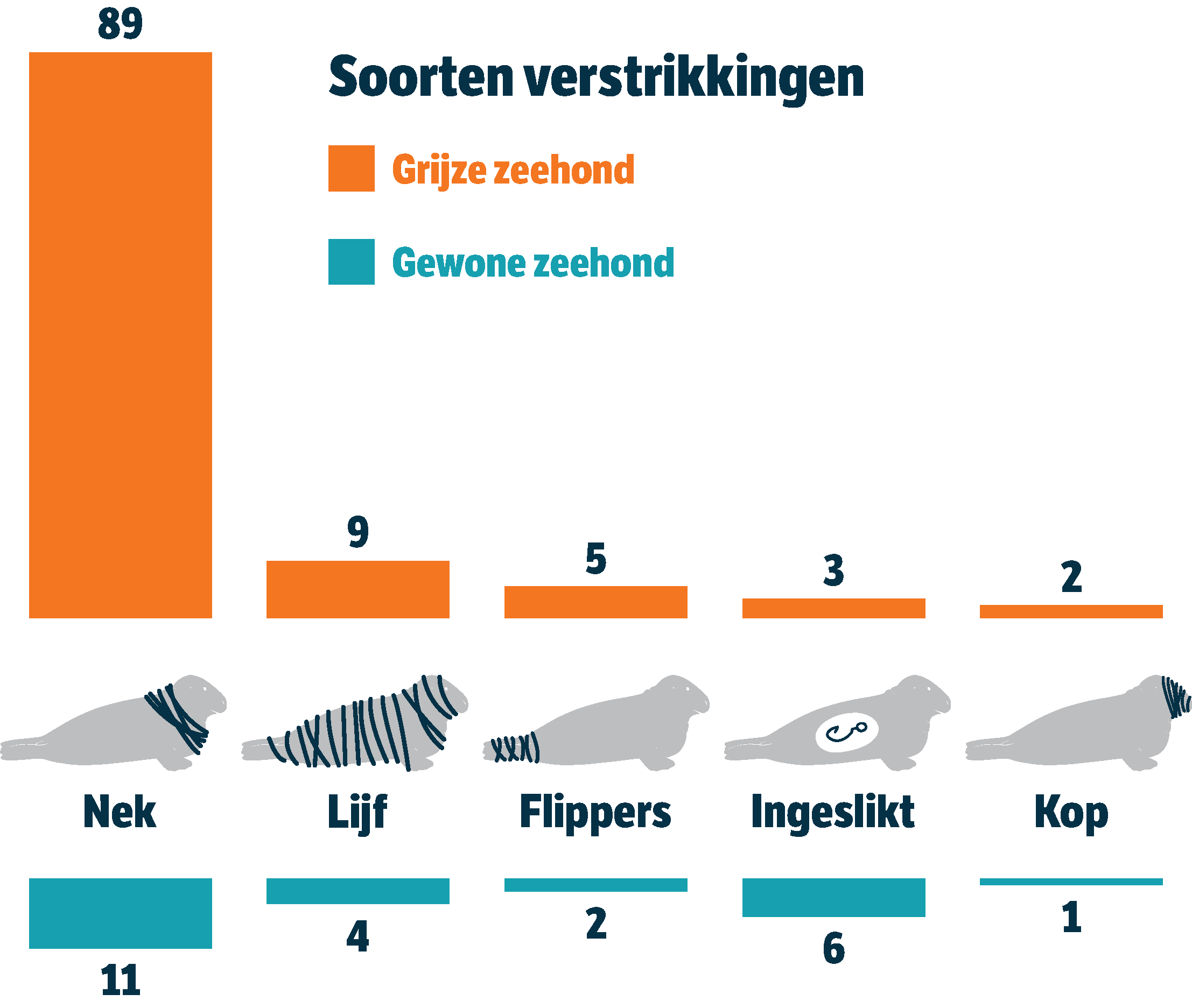 Verschillende soorten verstrikkingen in plastic bij zeehonden