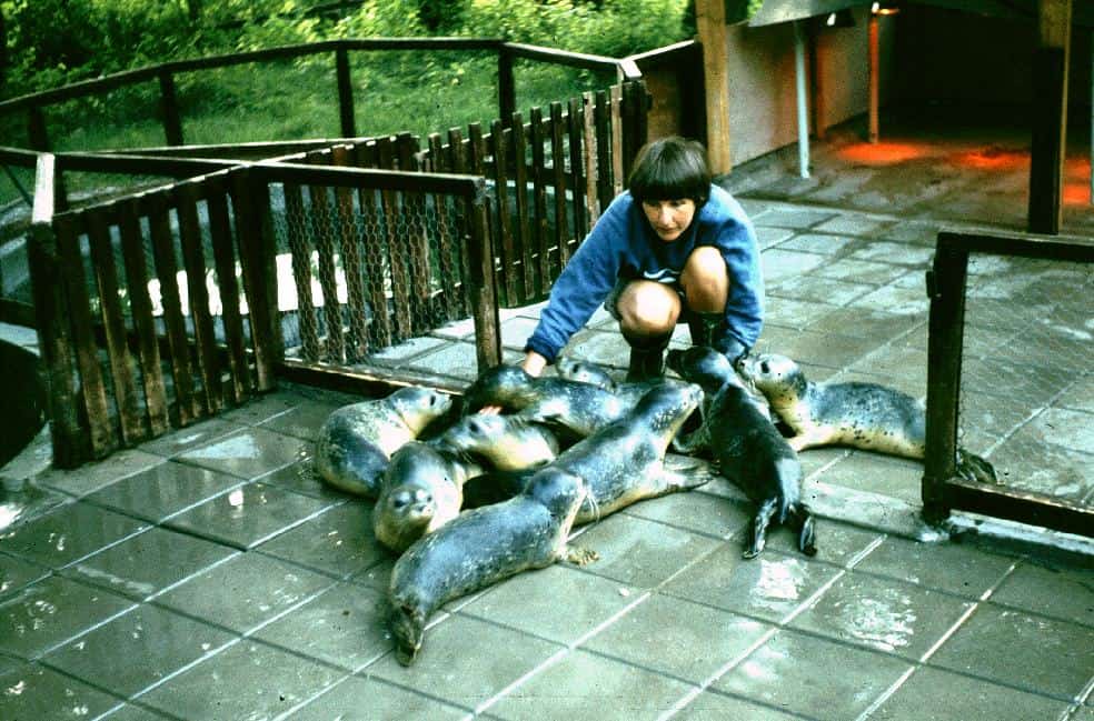 Lenie 't Hart met zeehonden