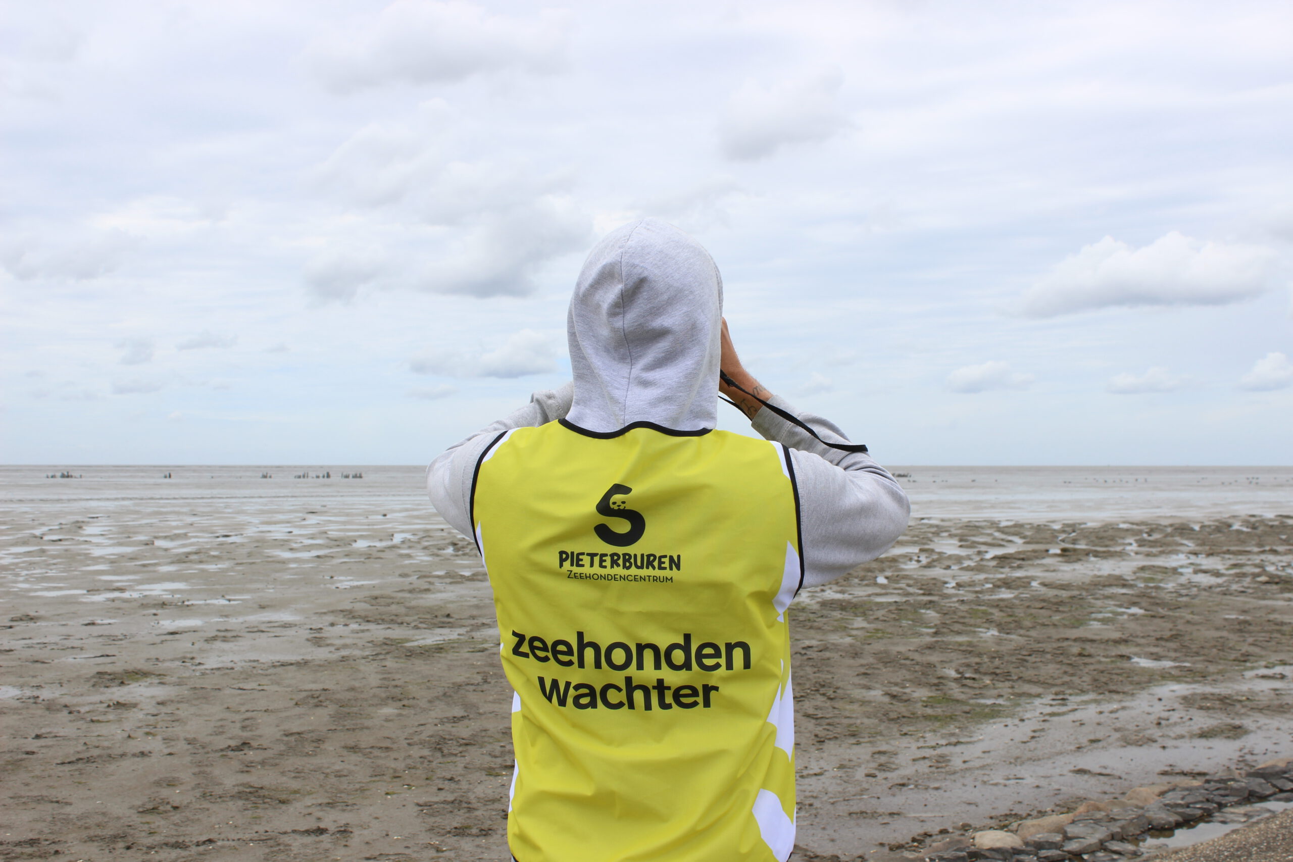 zeehondenwachter kijkt uit over waddenzee