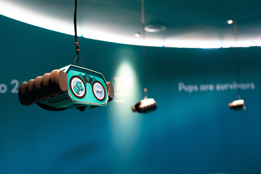 VR headset in Zeehondencentrum Pieterburen