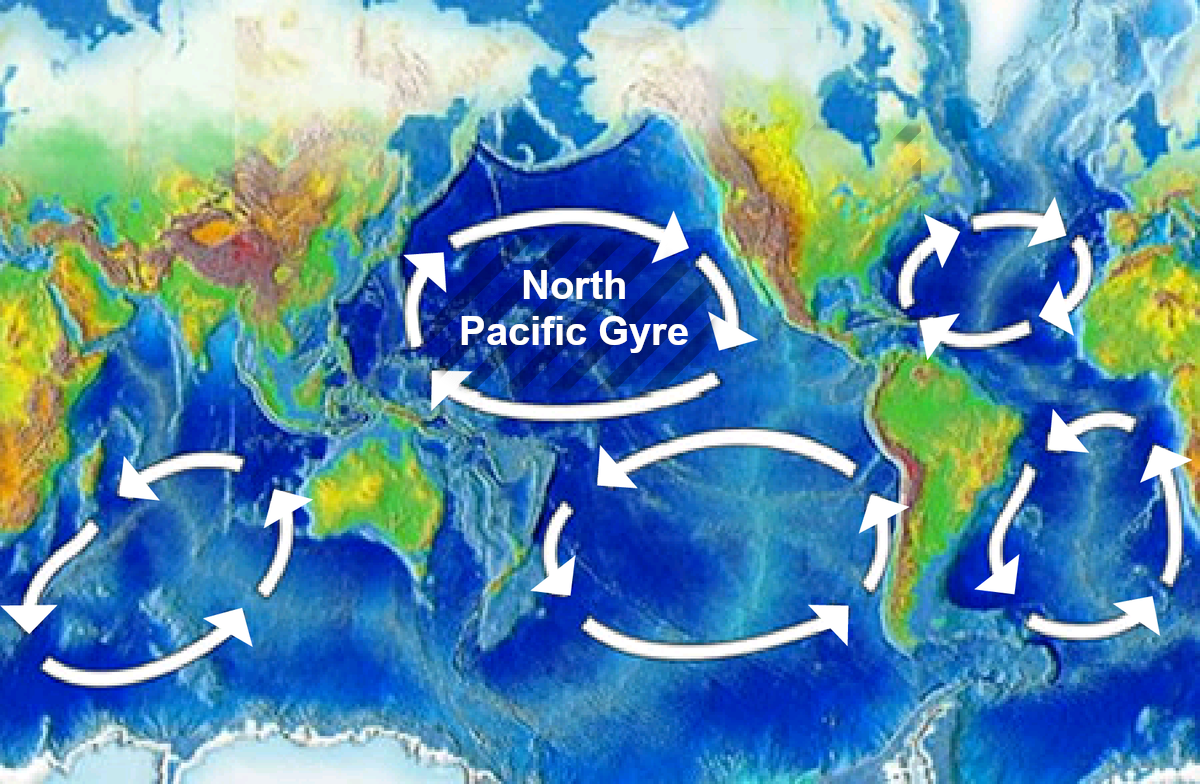 De North Pacific Gyre