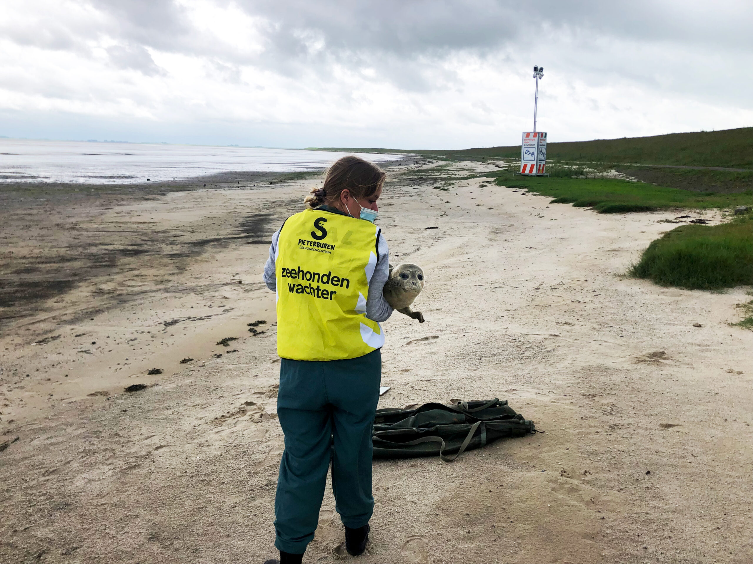 zeehondenwachter met pup in armen